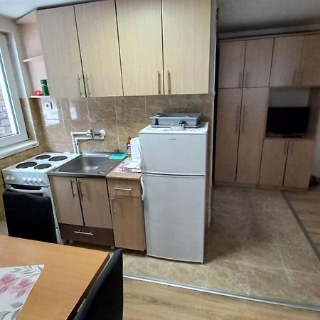 Kopaonik Apartman Aleksandar Экстерьер фото